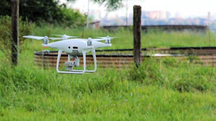 Embrapa estuda sistema que faz ‘check up’ de plantas no campo para prever produção, pragas e doenças na lavoura